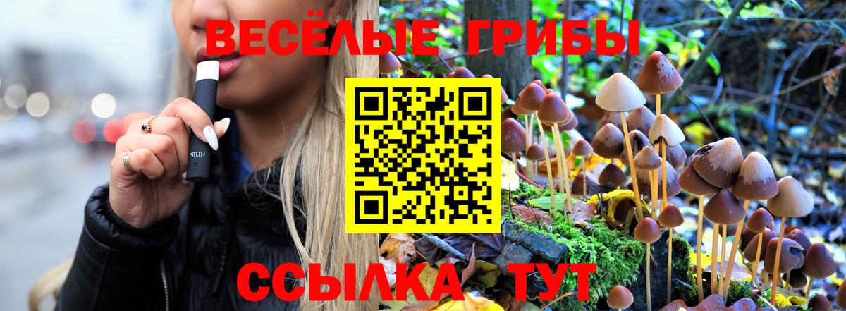 Псилоцибиновые грибы GOLDEN TEACHER  Вход с VPN  Псилоцибиновые грибы Psilocybine cubensis  Белово 